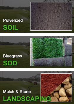 Sod for Sale