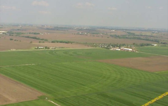 Kentucky Blue Grass Sod